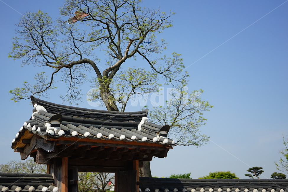 한국,전통,한옥,korea,tranditional,hanok