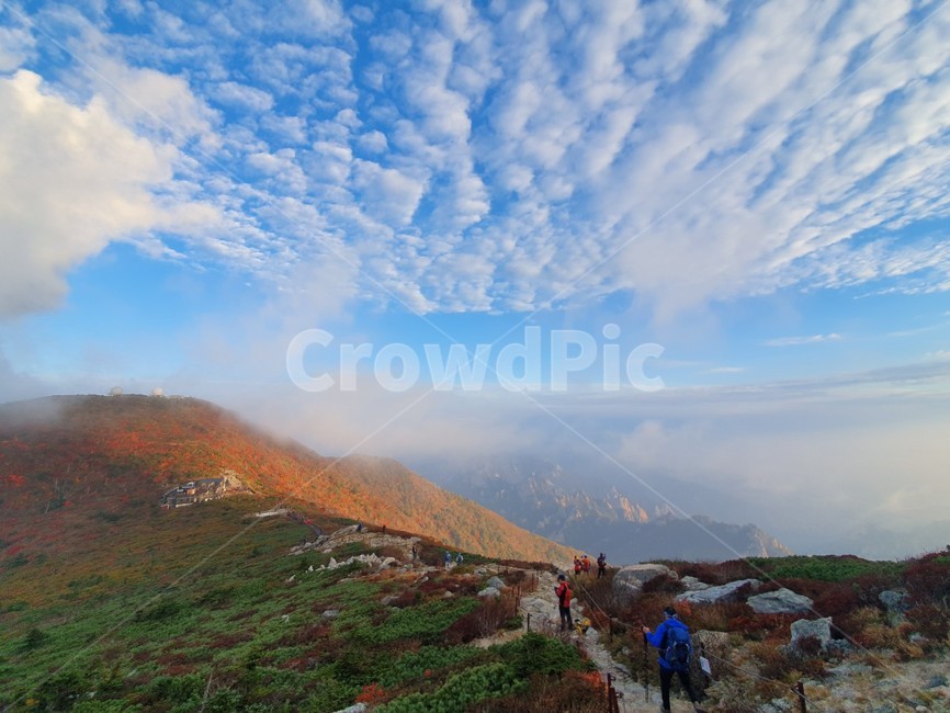 가을,설악산,국립공원,던풍,중청,중청단풍,공룡능선,운해,자연,풍경,nature,landscape,outdoors,옥외