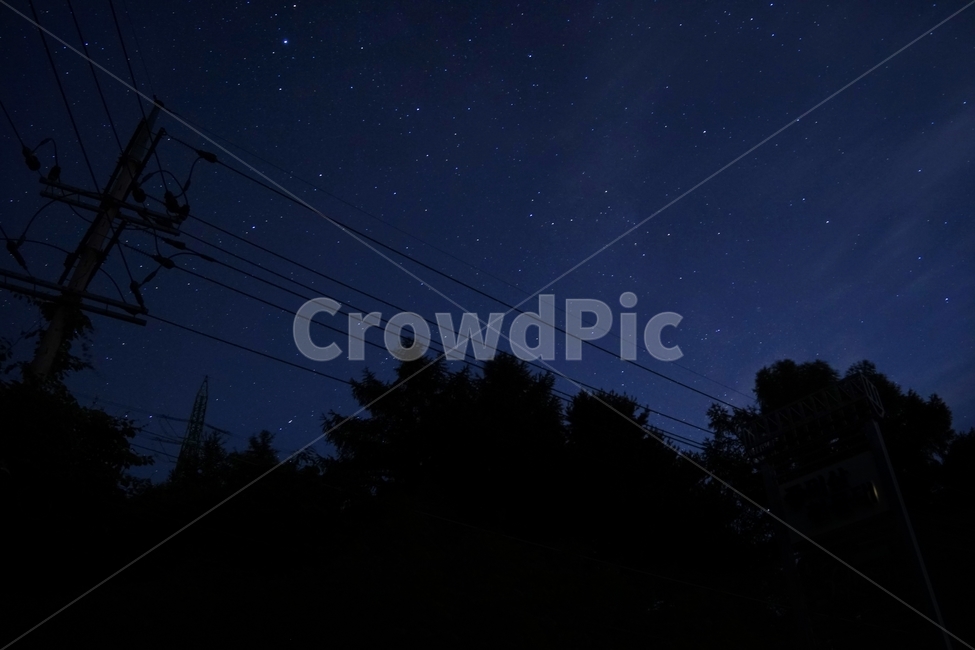 별,은하수,새벽,숲,반짝반짝,작은별,자연,풍경,nature,landscape,야경,밤,nightscape,night,감성,sensible,feeling,outdoors,옥외