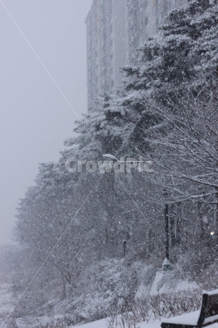 눈,겨울,풍경,추위,하얀색,화이트,자연,snow,winter,landscape,scenery,cold,white,나무,tree,겨울,계절,winter,season,자연,풍경,nature,landscape,storm,폭풍,outdoors,옥외,blizzard,눈보라