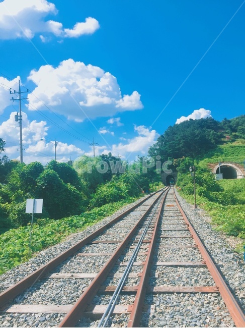 레일,푸르름,기찻길,레일바이크,터널,나무,풍경,녹색풍경,휴식,힐링