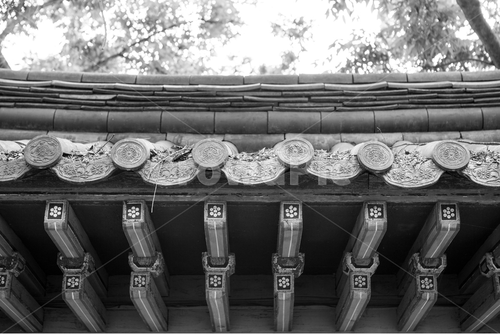 대릉원,기와,지붕,한국전통,신라,한국전통,한국문화,korean traditional,korean culture,흑백,모노톤,monochrome,black and white,건축물,건물외관,exterior,building,structure,architecture,construction