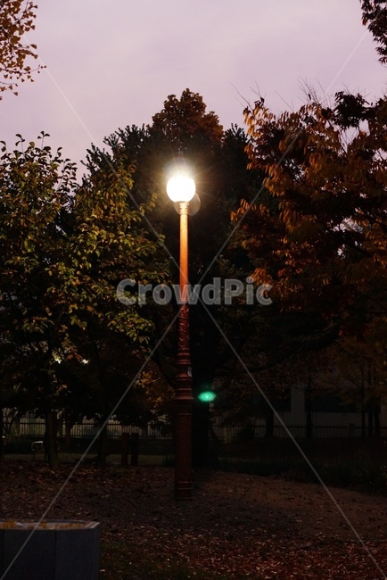 lamppost,램프포스트,밤,가로등,야경,가을,계절,fall,autumn,season,야경,밤,풍경,nightscape,night,landscape