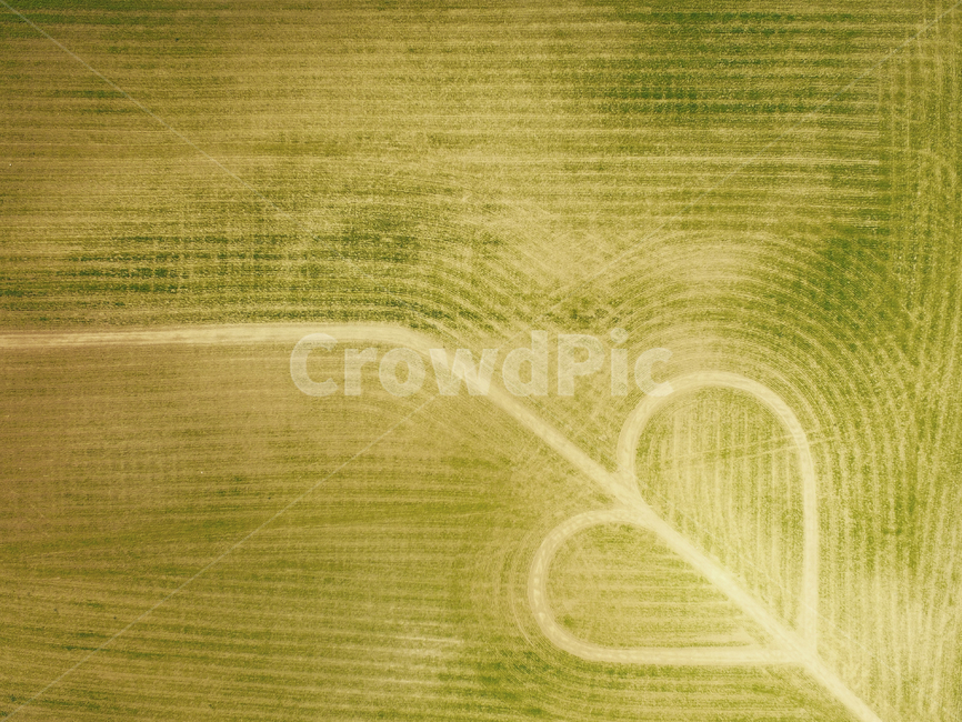 green,초록,자연,nature,하트,heart