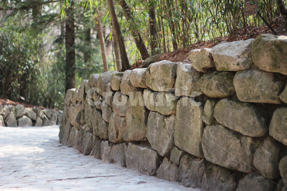 돌담,담장,불국사,자연,대나무숲,숲,길,자연,풍경,nature,landscape,wall,벽