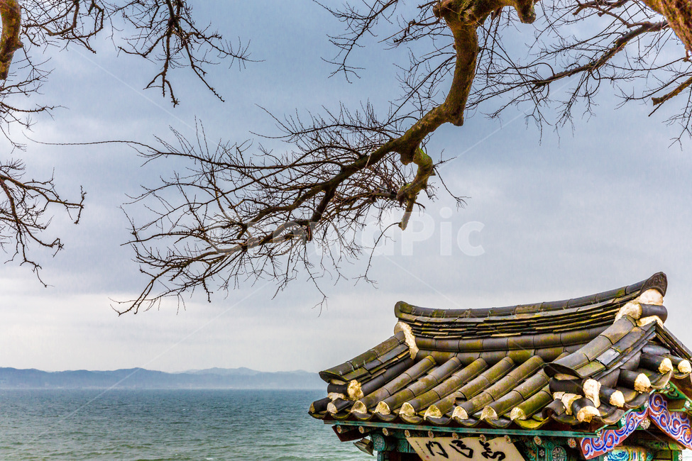 기와,사찰,문양,선,전통,바닷가,자연,풍경,nature,landscape,한국자연풍경,한국자연경관,korea nature landscape,한국전통,한국문화,korean traditional,korean culture,건축물,건물외관,exterior,building,structure,architecture,construction