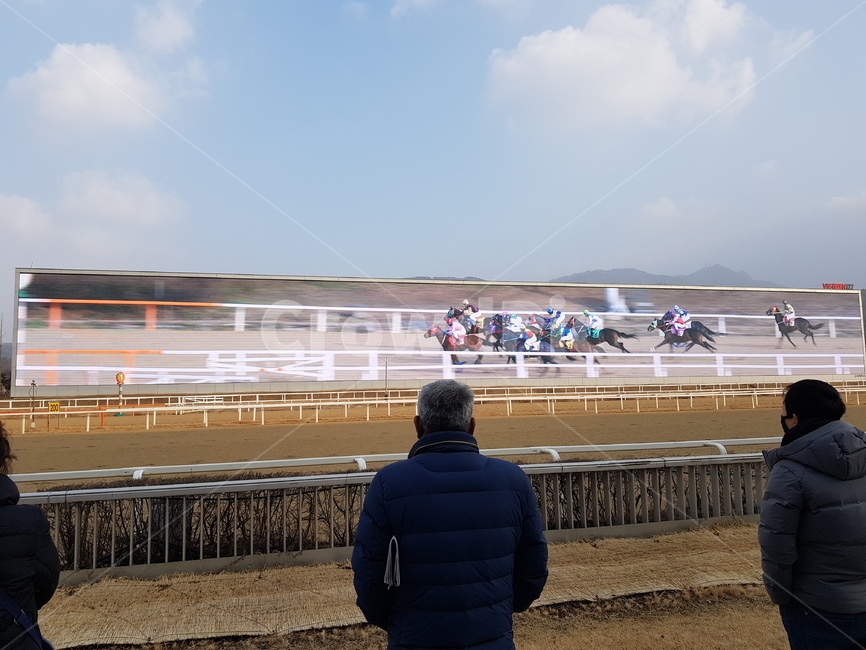 경마장,사람,말,하늘,경마,스포츠,레저,운동,sports,leisure,exercise