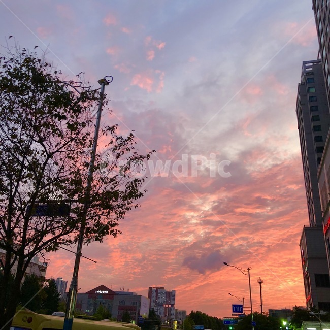 노을,하늘,풍경,outdoors,sunset