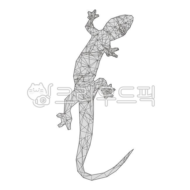 도마뱀,별자리,기하학,기하학무늬,lizard,리자드,뱀,카멜레온,파충류,개코,도롱뇽,개구리