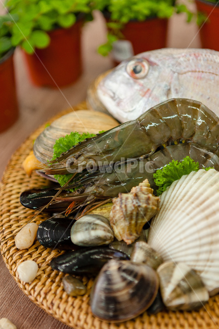 해물,대합,새우,가리비,해산물재료,음식,식재료,요리,food,cook,meal,dishes,food reserves,수산물,해산물,fishery products,seafood