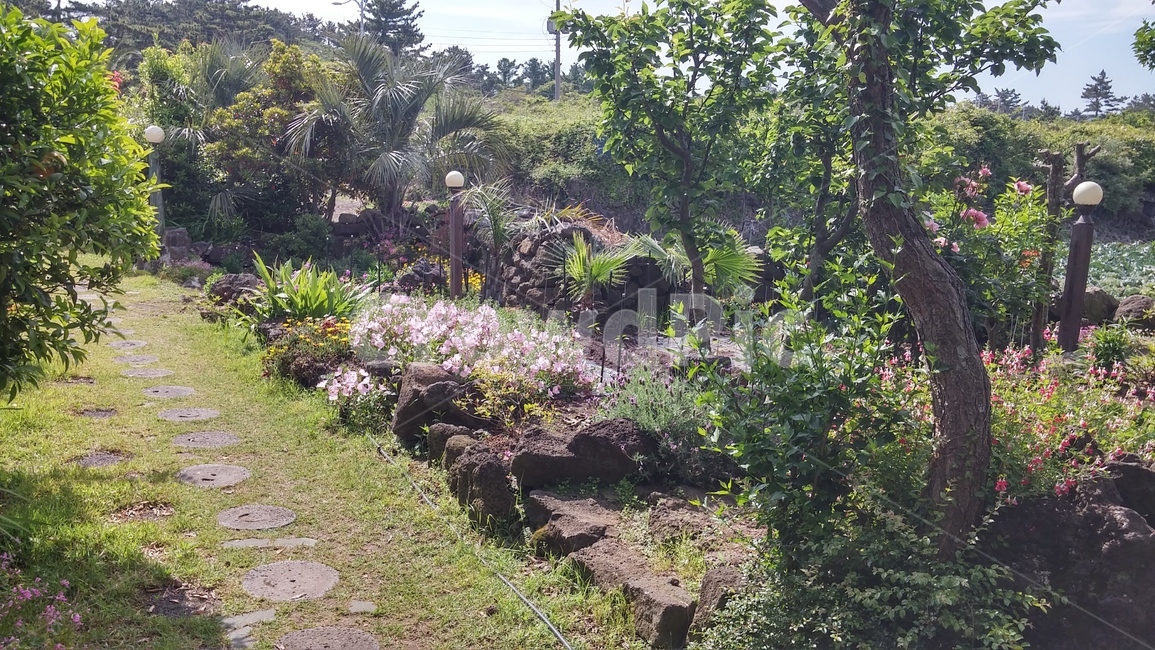 정원,garden,자연,nature,나무,돌다리,무성한,자연,풍경,nature,landscape,outdoors,옥외,arbour,정자