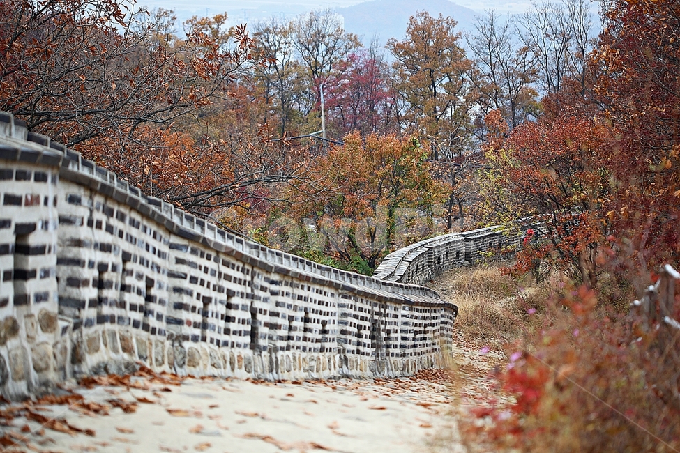 남한산성,성,성곽,단풍,낙엽,길,둘레길,숲,숲길,담돌담,가을,자연,풍경,벽,울긋불긋,산성,식물,가을,계절,fall,autumn,season