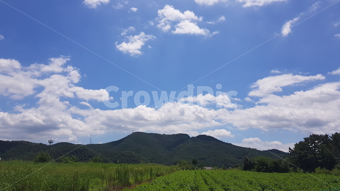 하늘,파란하늘,구름,뭉게구름,하얀구름,파란,하얀,흰색,cloud,sky,bluesky,맑은하늘