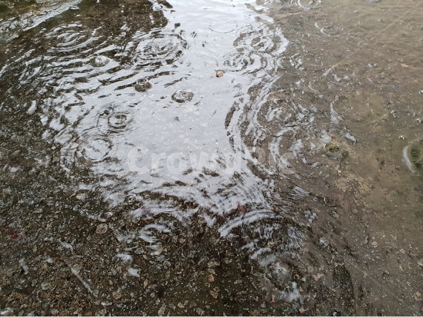 빗방울,물,빗물,패턴,배경,날씨,감정,비오는날,rain,raindrops,background,weather,pattern,비,비오는날,rain,rainy
