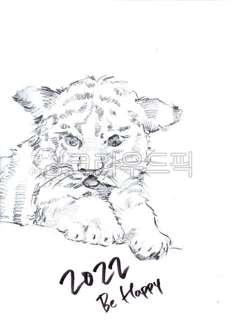 New Year 2022,art,Art,tiger illustration,2022,tiger,black and white drawing,black and white tiger illustration,tiger picture,painting,drawing,animal,illustration,sketch,Year of the tiger