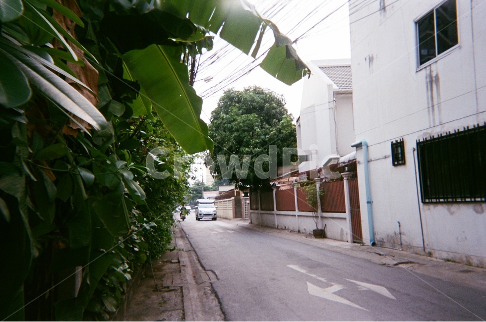 도로,식물,아파트,주택,나무,차,오토바이,창문,담,집,전깃줄,road,plant,apartment,tree,car,motorcycle,window,wall,wire,house,골목길,alley,감성,sensible,feeling,outdoors,옥외,garden,정원