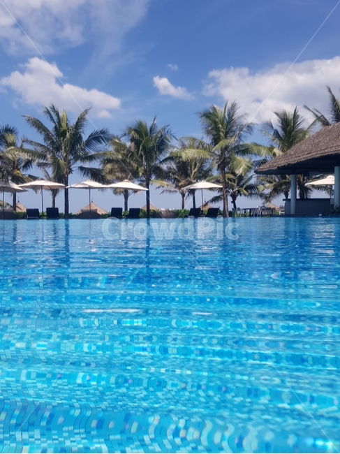 여름,summer,수영,수영장,리조트,야자수,swimmingpool