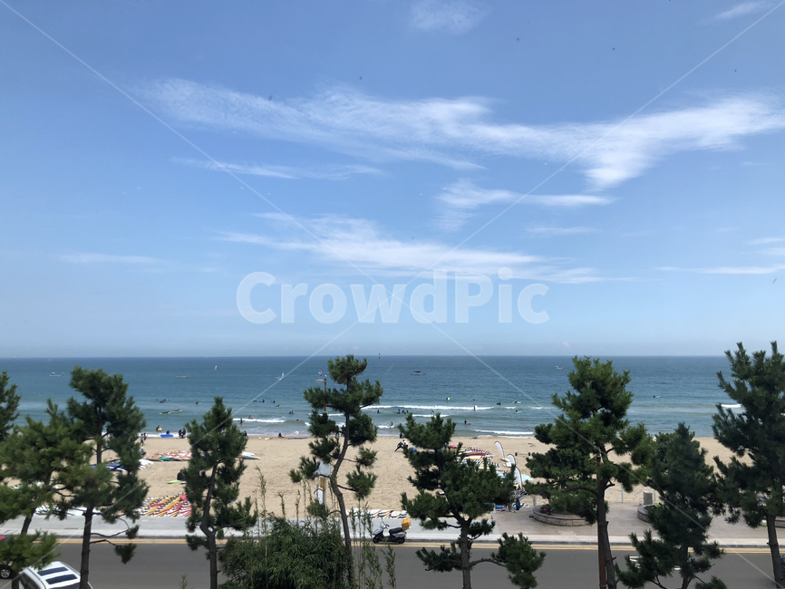 바다,해수욕장,서핑,송정,여름,모래사장,해안가,도로,바닷가,방풍림,소나무,beach,sea,surfing,surfers,surf,pinetree,sandybeach,summer,coastal,coastalroadway,여름,계절,summer,season,자연,풍경,nature,landscape