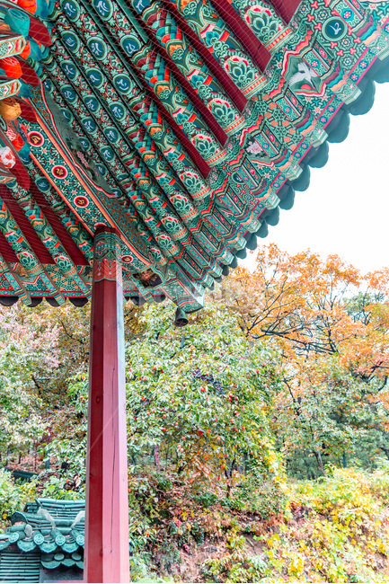 처마,문양,단청,무늬,패턴,사찰,한국전통,한국문화,korean traditional,korean culture,건축물,건물외관,exterior,building,structure,architecture,construction
