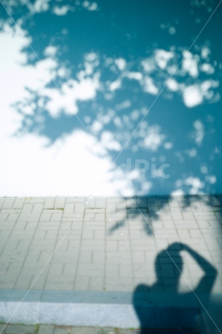 그림자,싱그러움,나무,거리,여름,shadow,tree,street,summer,사람,인물,인간,human,person,인물실루엣,사람실루엣,character silhouette,human silhouette,감성,sensible,feeling