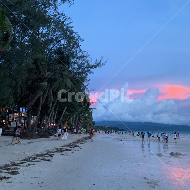 노을,하늘,황혼,자연,일몰,나무,nature,보라카이,boracay,바다,야자수,redsky,sunset,붉은하늘,해변,바다,beach,sea