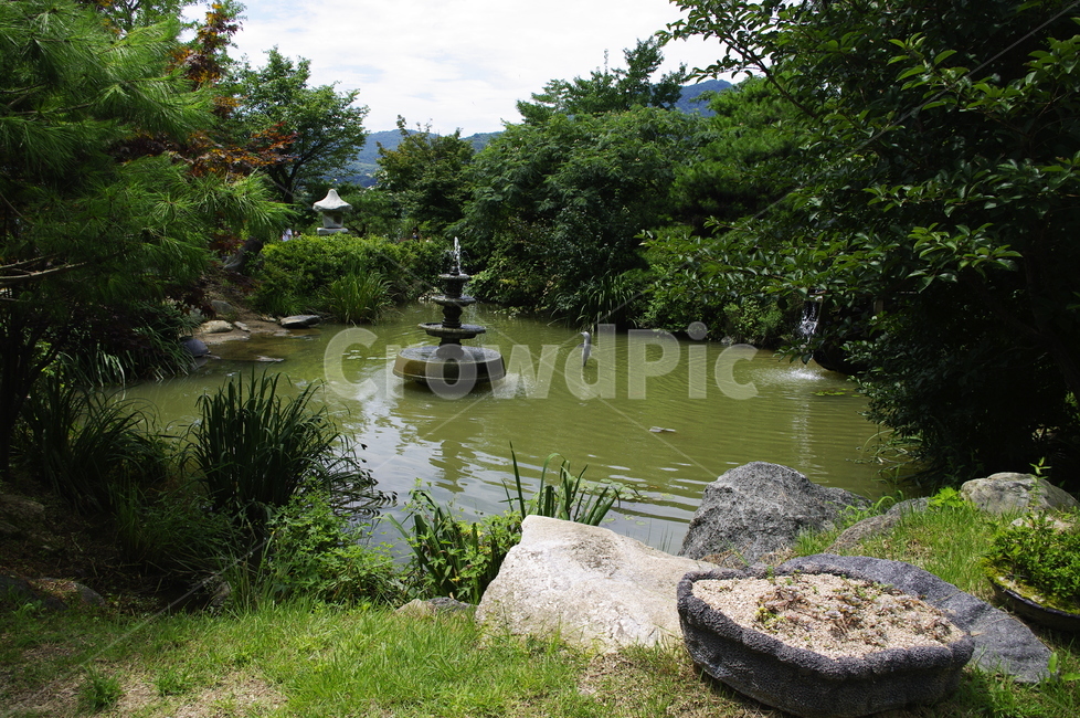 초록,나무,식물,plant,자연,nature,연못,풍경,자연,풍경,nature,landscape,water,물,outdoors,옥외