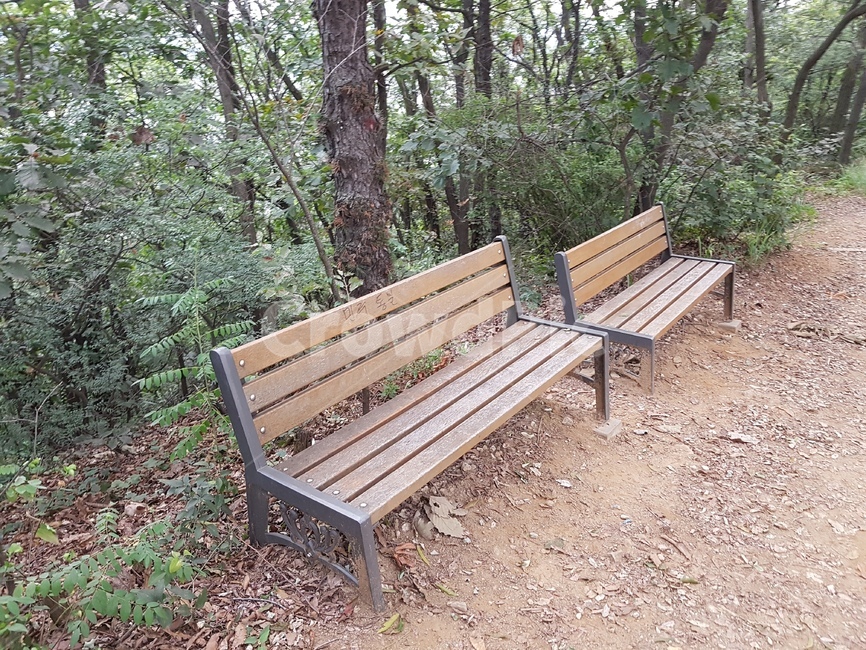 bench,벤치,공원벤치,parkbench,숲,숲길,자연