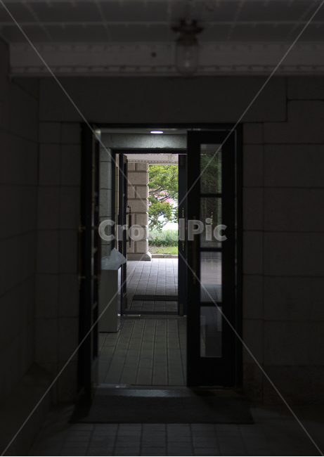 덕수궁,한국,궁,도심,문,창문,건축물,건물외관,exterior,building,structure,architecture,construction