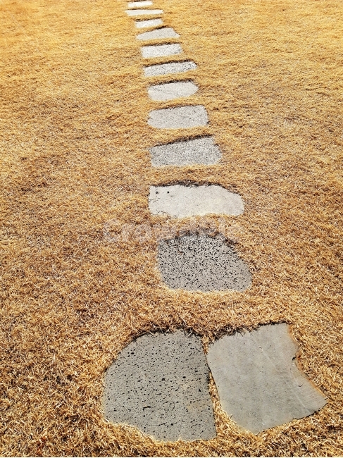 돌,돌바닥,돌길,잔디,겨울잔디,잔디밭,잔디풀,징검다리,돌다리,돌조각,길,산책로,산책길,디딤돌,로드,스톤,stone,stonefloor,stoneroad,lawn,winterlawn,steppingstone,grass,stonepieces,road,walk