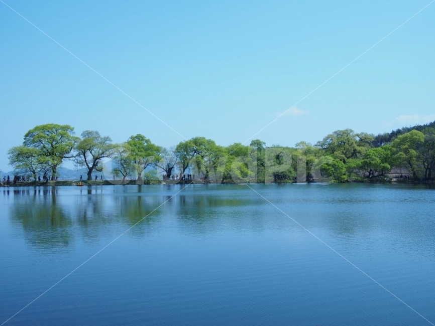 호수,반곡지,물그림자,시원,파랑,푸른,자연,풍경,nature,landscape,water,물,outdoors,옥외