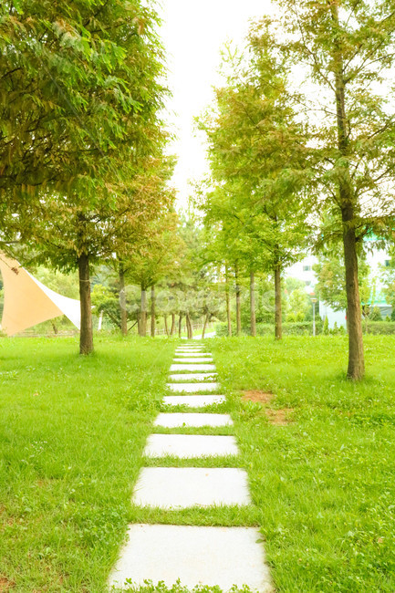 공원,나무,숲,힐링,산책