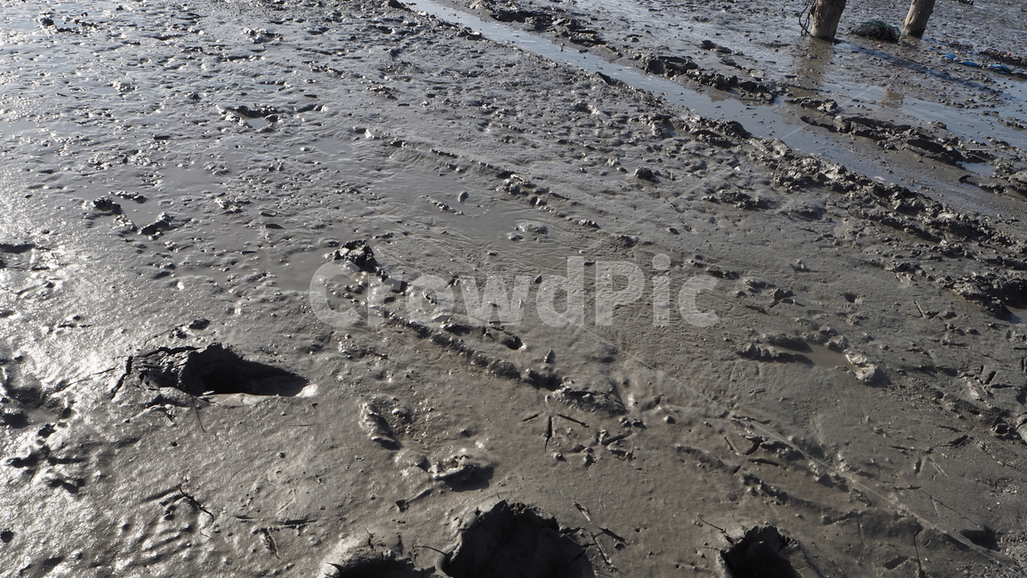 갯벌,nature,mudflat,자연,mud,머드,자연,풍경,nature,landscape