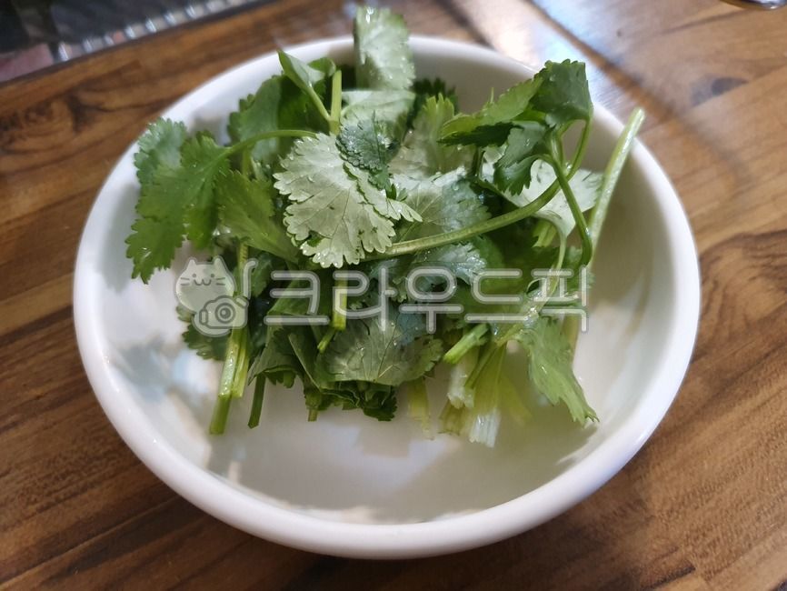 고수,풀,야채,food,식재료,음식