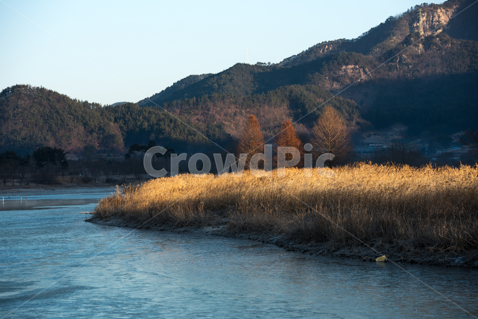 전북진안,생태공원,겨울,가을,풍경,용담호,가을,계절,fall,autumn,season,자연,풍경,nature,landscape,한국자연풍경,한국자연경관,korea nature landscape,tree,나무,plant,식물,outdoors,옥외,water,물