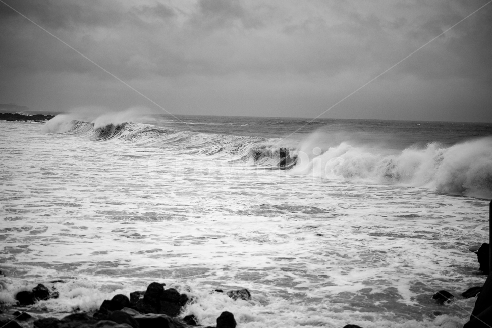 파도,태풍,흑백,바다,백파,흑백사진,높은파도,자연,풍경,nature,landscape,흑백,모노톤,monochrome,black and white,sea,water,물,ocean,대양,outdoors,옥외