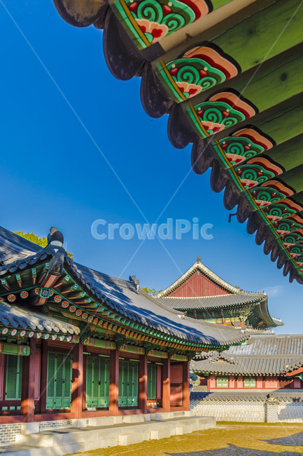 고궁,기와,창경궁,문화유산,기와담장,문화재,한국의미,처마,지붕,담벼락,한국전통,한국문화,korean traditional,korean culture,건축물,건물외관,exterior,building,structure,architecture,construction