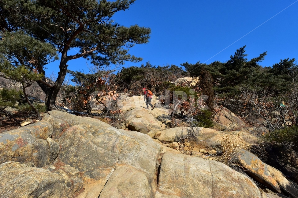 관악산,풍경,겨울,자연,눈,스포츠,등산,산행,nature,snow,겨울풍경,느낌,아름다운,신비로운,경이로운,기암,바위,암봉,암릉,다큐,필,힐링,명산,landscape,winter,season,트레킹,100대명산,인기명산,조망,전망,정부청사,6봉,수목원능선,바윗길,암릉길,명품송,소나무,한국자연풍경,한국자연경관,korea,관양능선,팔봉능선,국기봉,자연,풍경,nature,landscape,한국자연풍경,한국자연경관,korea nature landscape,사람,인물,인간,human,person,여행,휴가,traveling,vacation,trip,스포츠,레저,운동,sports,leisure,exercise,plant,식물,tree,나무