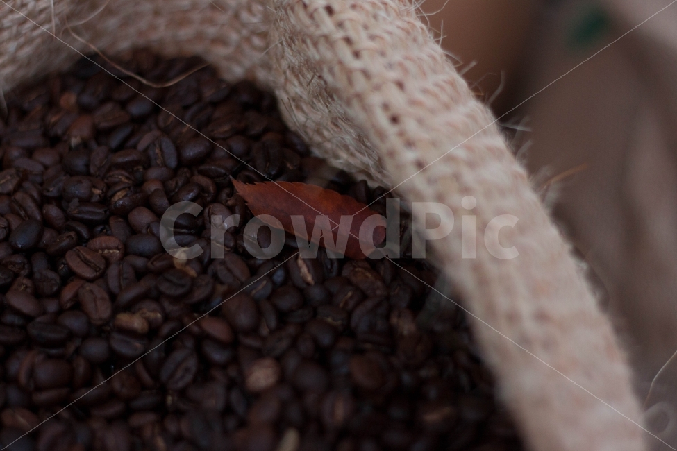 가을,커피,원두,커피콩,단풍,카페,정물,정물사진,fall,autumn,coffee,bean,coffeebean,cafe,커피,카페,coffee,cafe