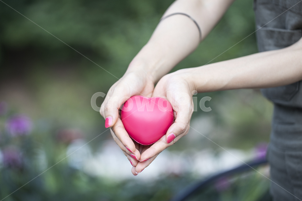 하트,러브,사랑,손하트,손,여자,love,사람,사물,핑크