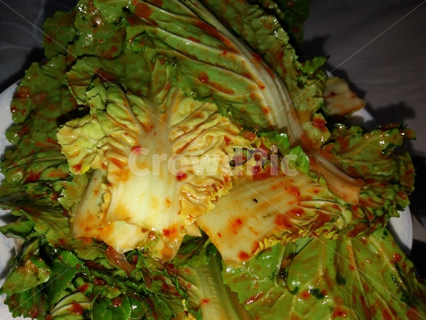 식물,음식,반찬,봄동,겉절이,고추가루,배추,plant