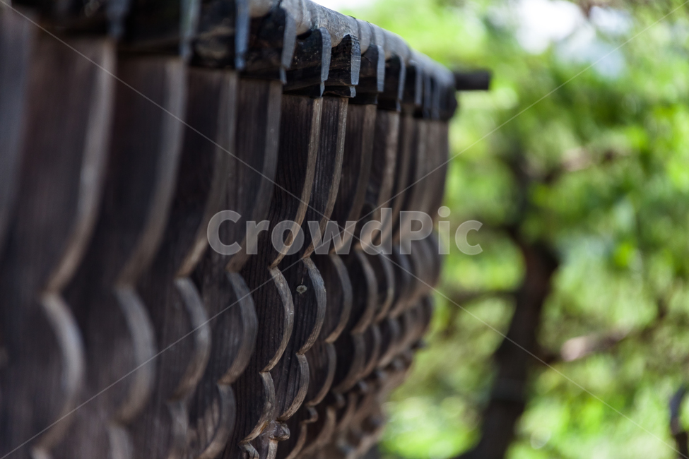 traditional village,traditional,Hanok,noble house,Cheongpung Cultural Heritage Complex,tradition,history,Jecheon,park