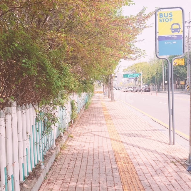 거리,street,가을,단풍,나무,tree,버스정류장,길,load