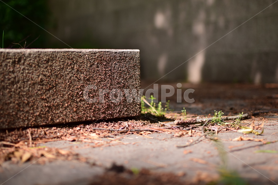 돌,바닥,ground,가을,낙엽