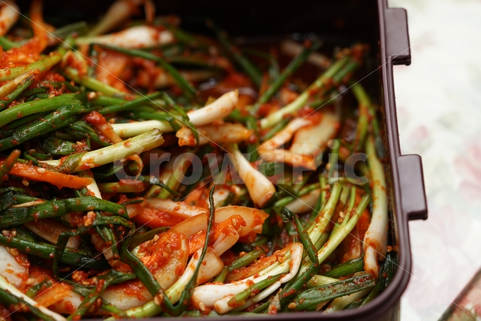 음식,먹방,집밥,푸드,가정식,밥도둑,짭쪼롬,반찬,집반찬,매콤,파김치,김치,한국음식,한식,파,입맛,음식,식재료,요리,food,cook,meal,dishes,food reserves,채소,야채,vegetables,한식,한국음식,한국요리,korean food,korean dishes,korean meal,korean cook