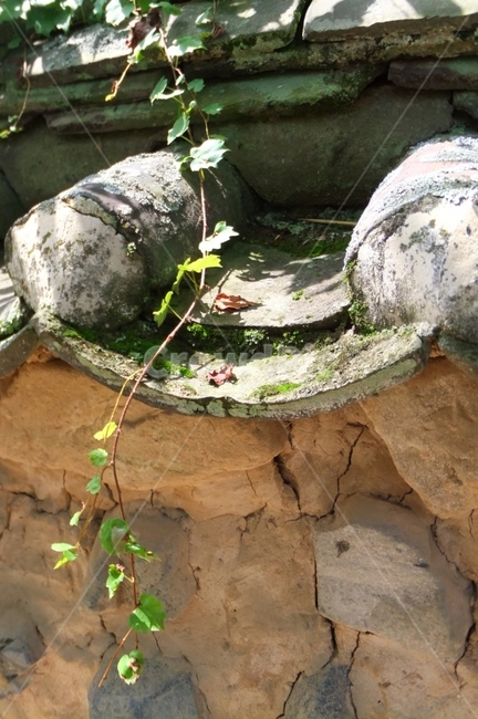 담쟁이,기와,흙,풍경,전통,한국전통,한국문화,korean traditional,korean culture,건축물,건물외관,exterior,building,structure,architecture,construction