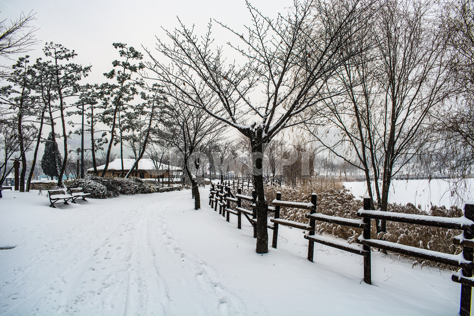 눈발,흰눈,백설,겨울풍경,눈길,겨울,계절,winter,season,자연,풍경,nature,landscape,outdoors,옥외,storm,폭풍,snow,눈,blizzard,눈보라