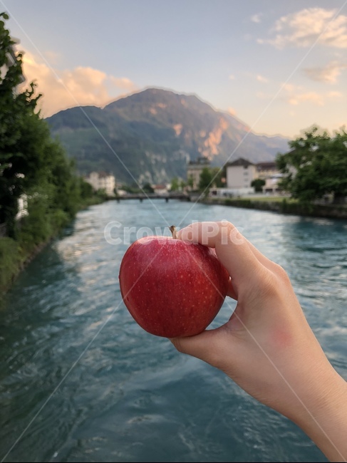 사과,빨간사과,강,스위스,풍경,예쁜,과일,열매,fruit
