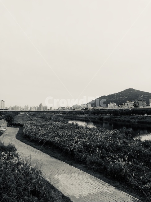 자연,nature,물,흑백,감성