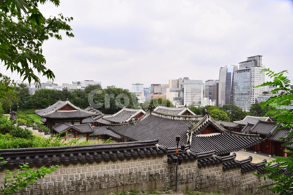 한국전통,고궁,경희궁,명소,traditional,korean,palace,기와,조선시대,궁궐,building,structure,ancientpalace,house,배경,바탕,백그라운드,background,건물,패턴,pattern,담장,서울,건축물,고층빌딩