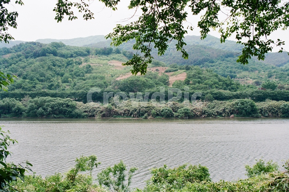 식물,봄,여름,자연,명상,하동,섬진강,river,tree,peaceful,자연,풍경,nature,landscape